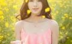 雕花的马鞍伴奏